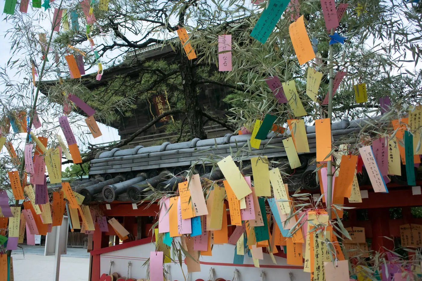 🎋 칠석 신사(히메코소진자) 이미지 3